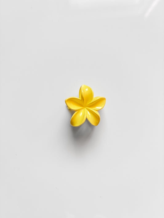 Glossy Floral Claw (Small)