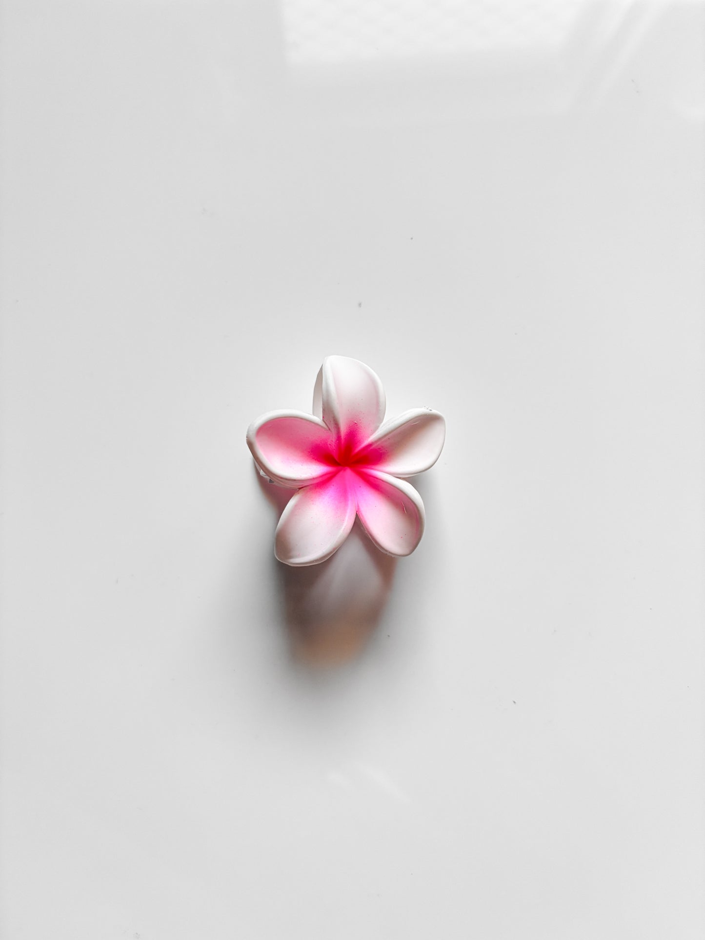 Floral Claw Matte (Medium)